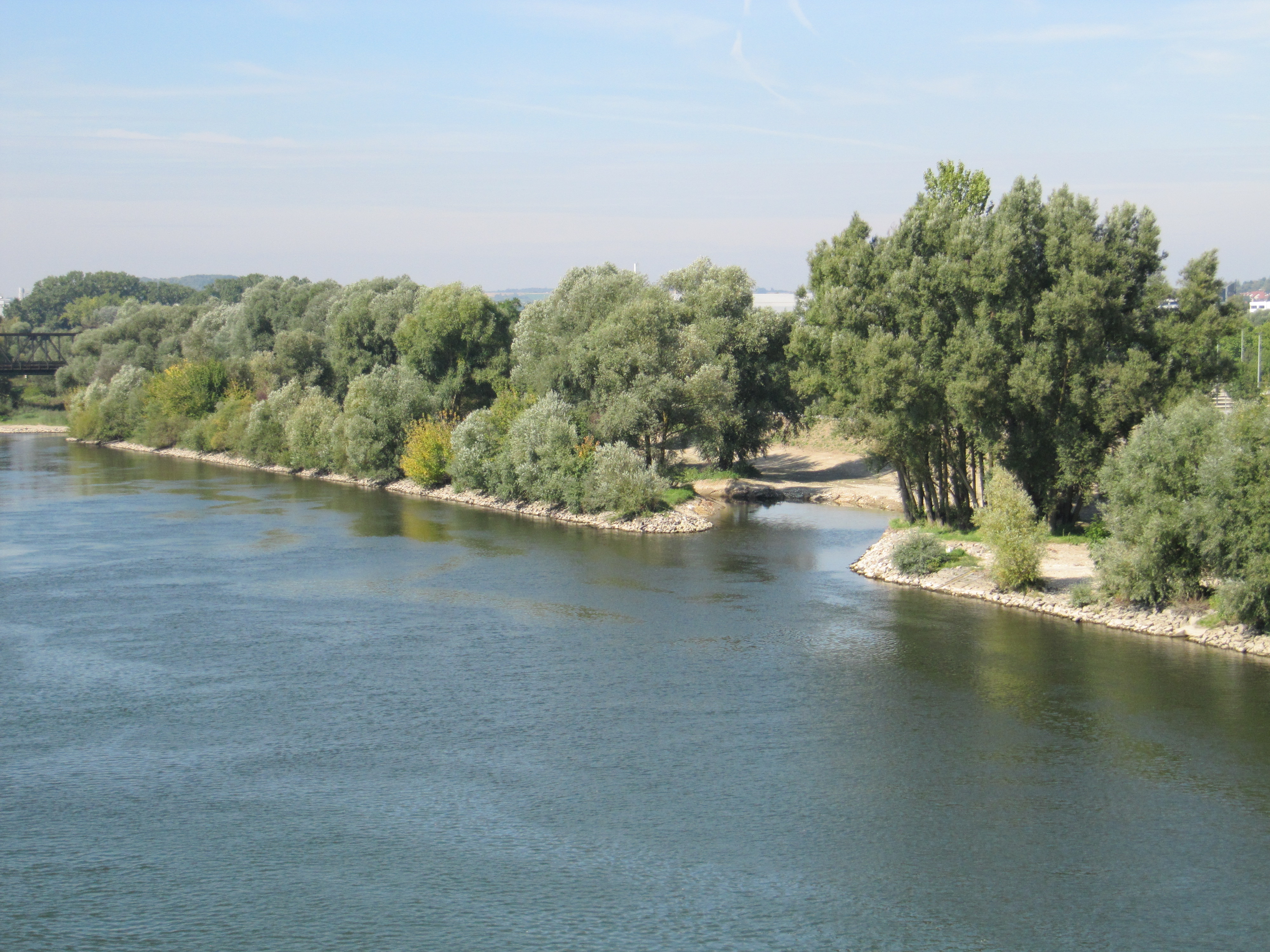 Im Vordergrund die Donau, dahinter das bewachsene Donauufer mit dem Einlauf in den Donaunebenarm