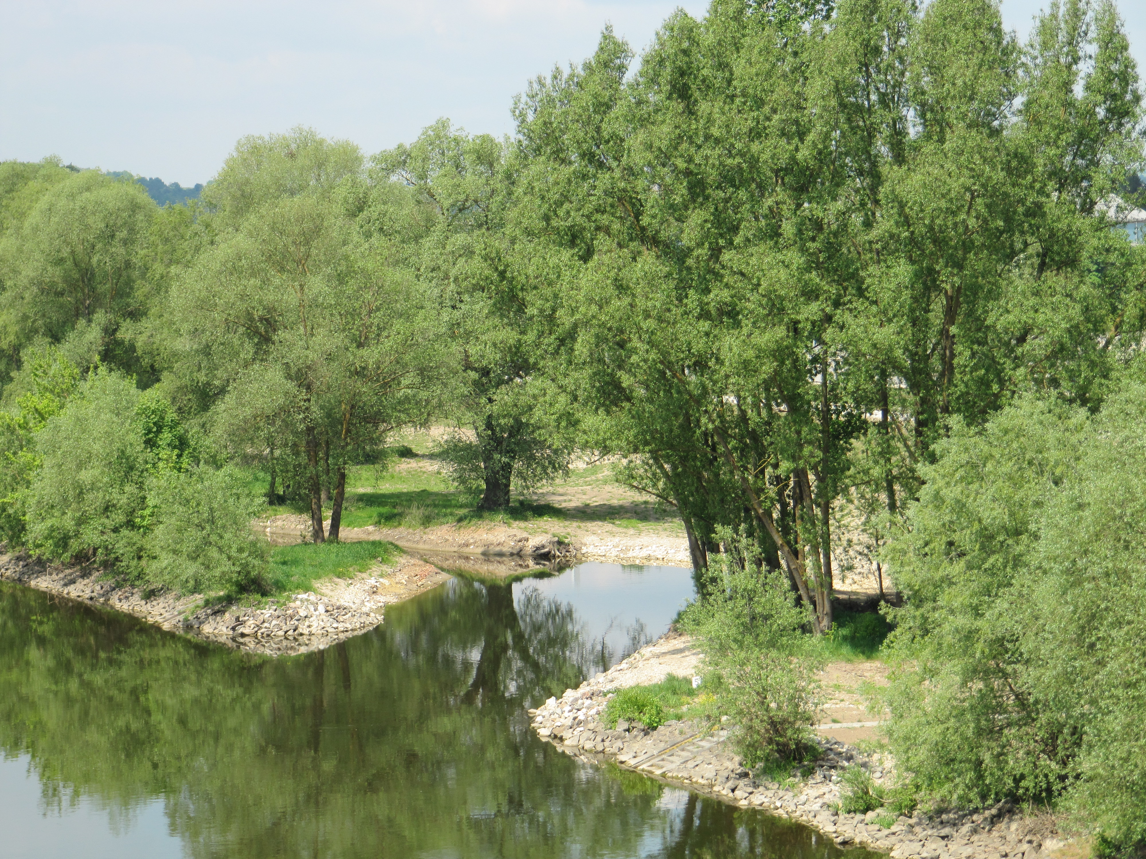 In der Mitte des Bildes der Einlauf in den Donaunebenarm mit beidseitigem Uferbewuchs und grünen Bäumen, dahinter links der weitere Verlauf des Nebenarmes und das Ufer